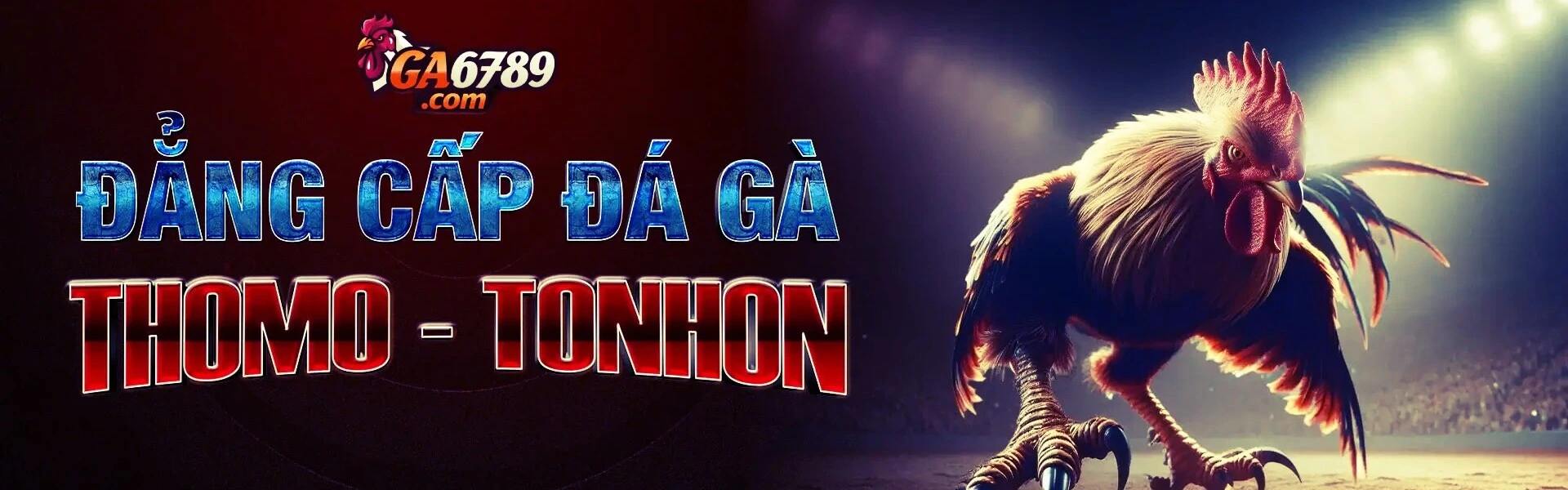 Đẳng cấp đá gà thomo tonhon